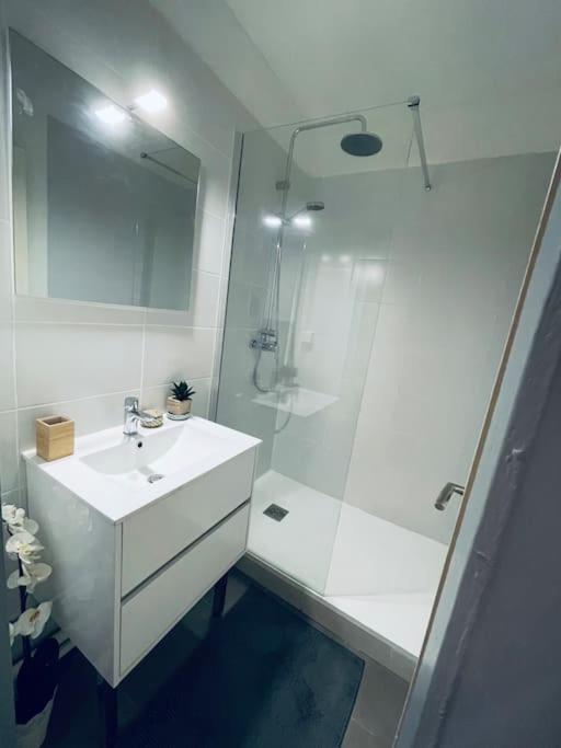 Appartement En Centre Ville, Wifi Et Tram Montpellier Esterno foto